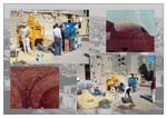 EGBCfinal_Page_672